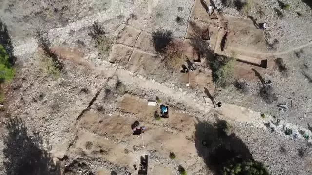 9 milyon yıl öncesine ait fosil alanında yeni buluntulara ulaşıldı