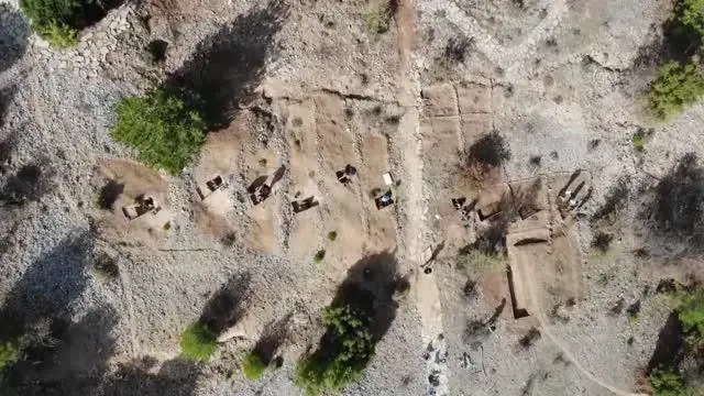 9 milyon yıl öncesine ait fosil alanında yeni buluntulara ulaşıldı