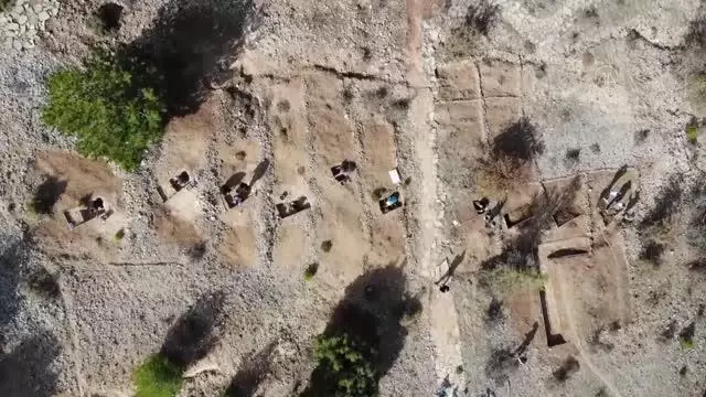 9 milyon yıl öncesine ait fosil alanında yeni buluntulara ulaşıldı