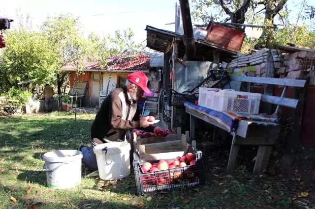 90 yaşına merdiven dayayan 'elma kurdu' Ahmet dedenin gözü Külliye' de