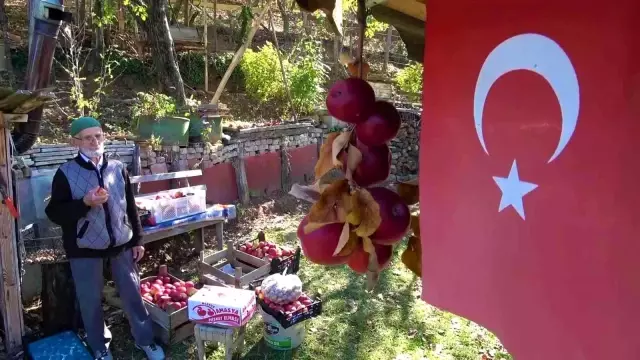 90 yaşına merdiven dayayan 'elma kurdu' Ahmet dedenin gözü Külliye' de