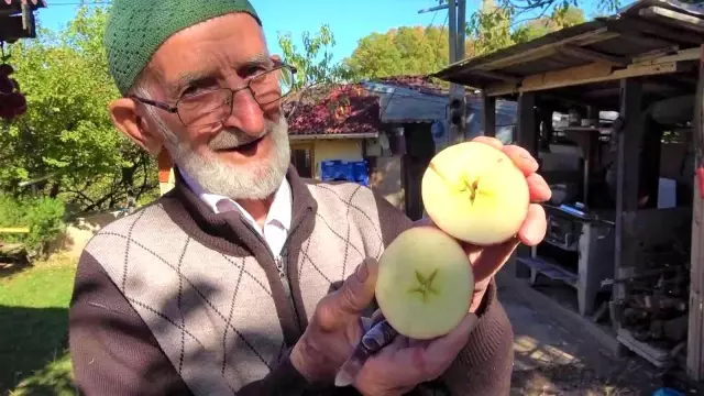 90 yaşına merdiven dayayan 'elma kurdu' Ahmet dedenin gözü Külliye' de