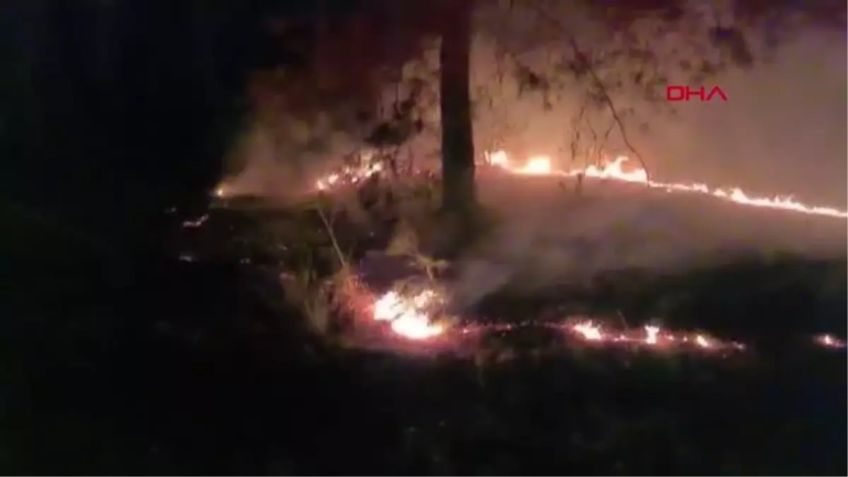 Antalya'da 3 ayrı noktada aynı zamanda orman yangını çıktı (2)- Yeniden