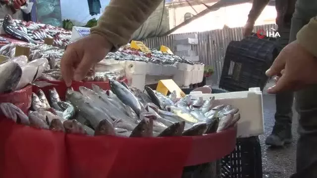 Balığa rağbet arttı
