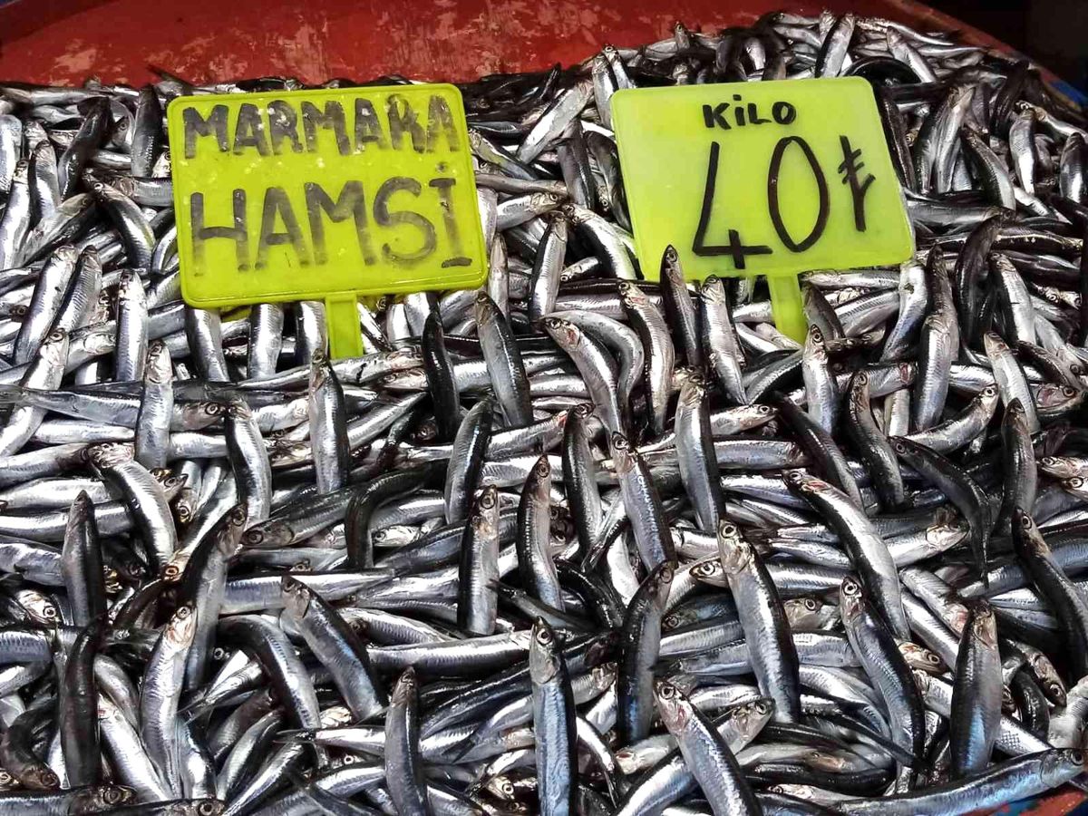 Balık tezgahlarında fırtına esti
