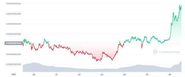 Kishu Coin (KISHU) nedir, nasıl alınır? Kishu Inu güncel yorum ve grafiği! Kishu Inu ne kadar, kaç TL? Kishu Inu fiyat ve geleceği hakkında bilgiler!