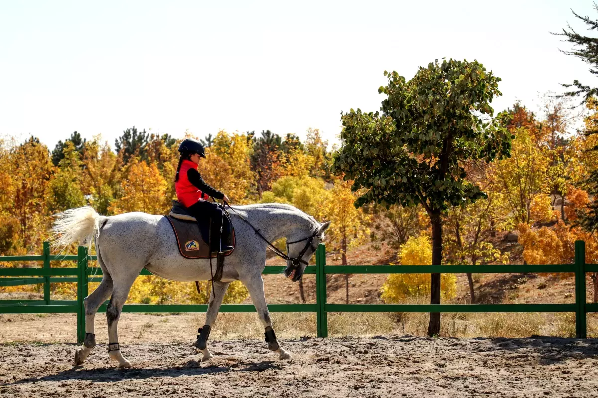 Konya'da pandemiyle beraber binicilik sporuna talep katlandı