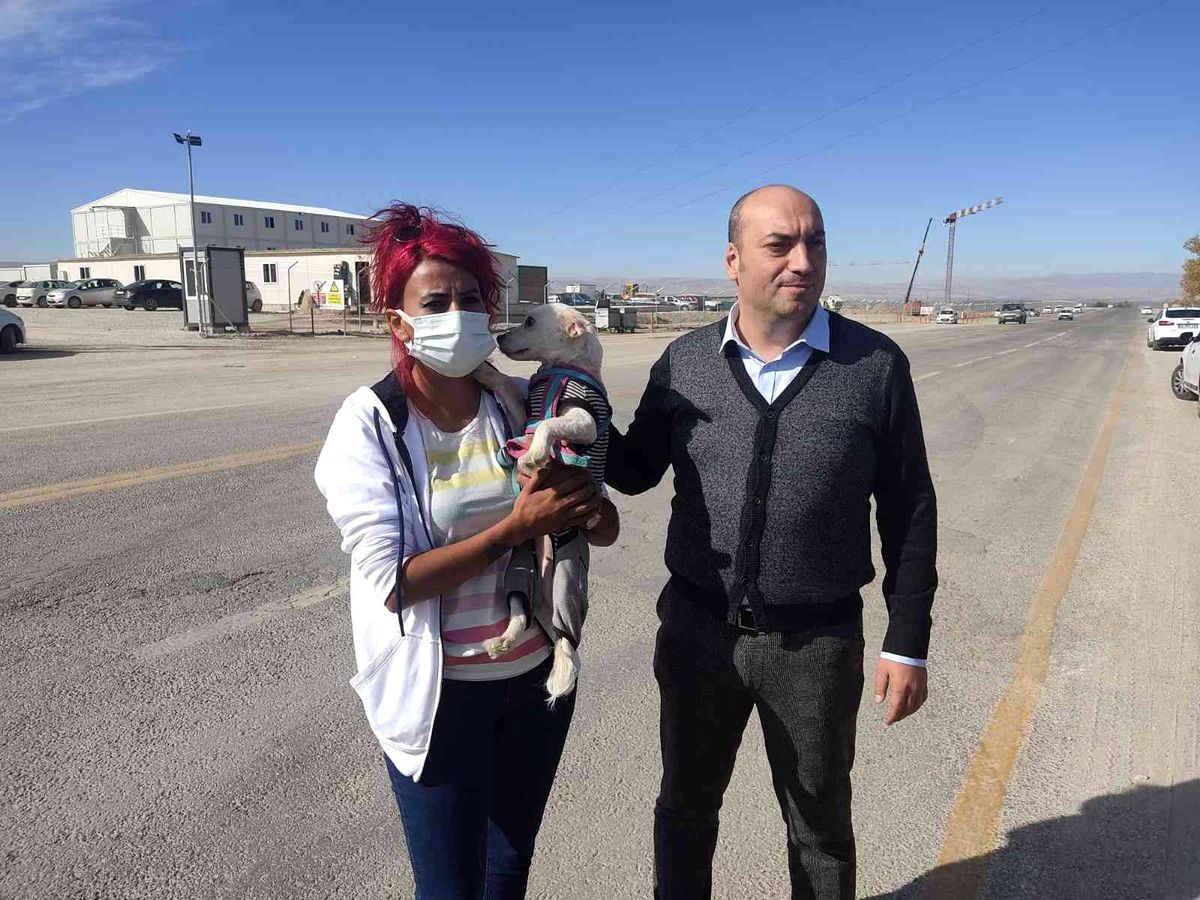 Köpekleri poşetleyip bagaja koyan çalışanın iş akdi feshedildi