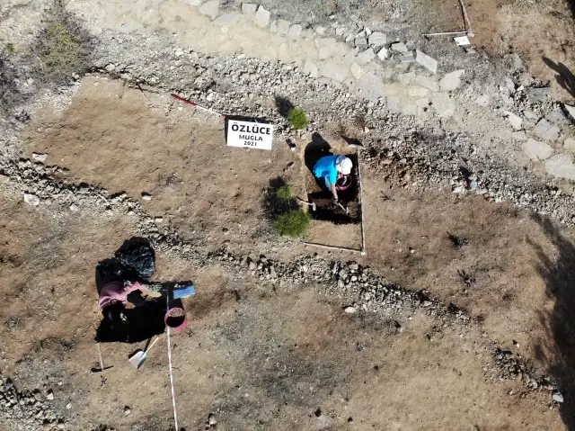 9 milyon yıl öncesine ait fosil alanında yeni buluntulara ulaşıldı