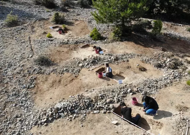 9 milyon yıl öncesine ait fosil alanında yeni buluntulara ulaşıldı