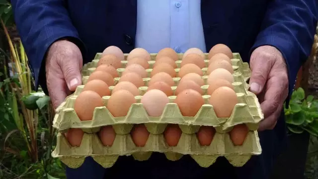 Uzunlar'dan 'yumurta fiyatı' açıklaması