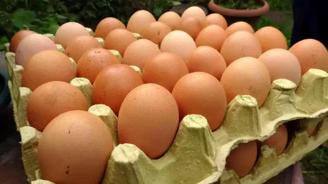 Uzunlar'dan 'yumurta fiyatı' açıklaması