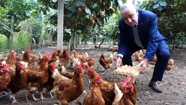 Uzunlar'dan 'yumurta fiyatı' açıklaması