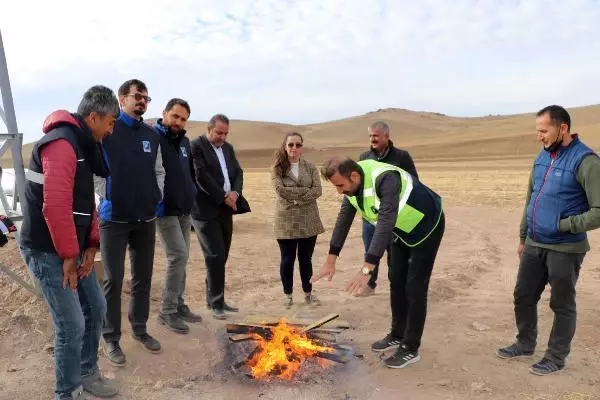 ENERJİ HATLARINDA KIŞ HAZIRLIĞI