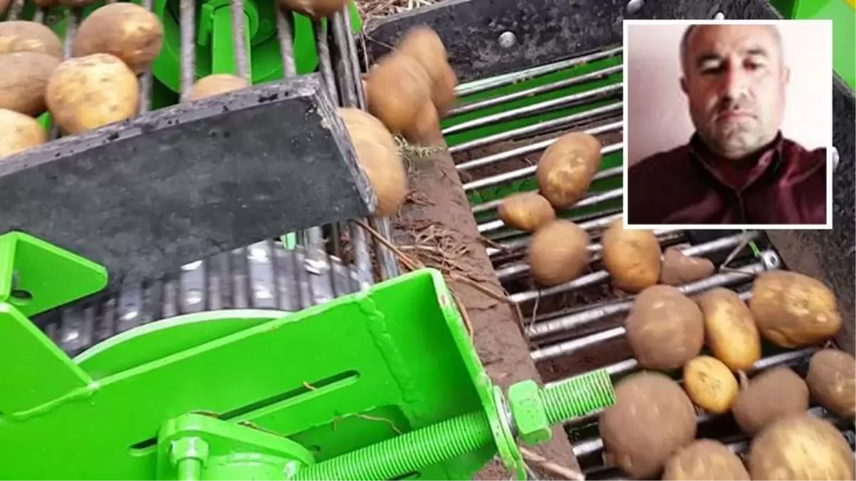 Patates söküm makinesi ile traktör arasında can verdi