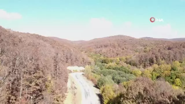 Istranca ormanlarında görsel şölen