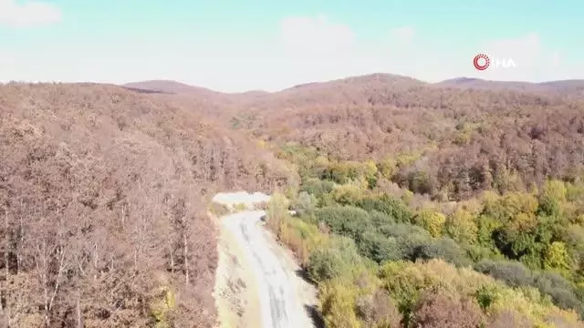 Istranca ormanlarında görsel şölen