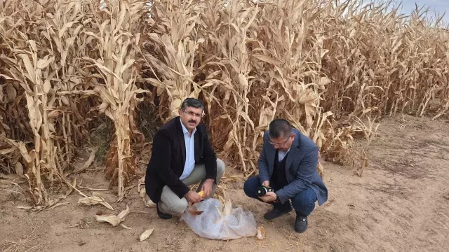 Karapınar'da Ziraat Odası, çiftçileri bilgilendiriyor