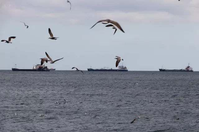 Marmara Denizi'nde ulaşıma poyraz engeli