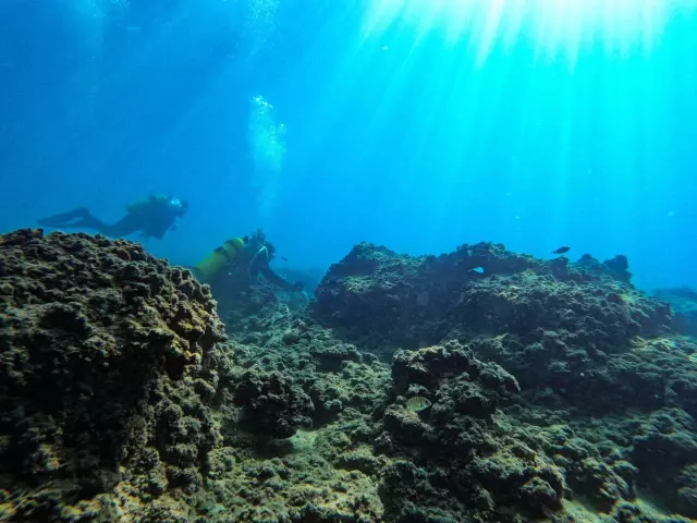 Mersin kıyılarındaki su altı kanyonları dalış tutkunlarını ağırlıyor