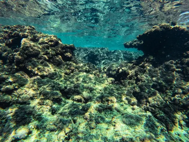 Mersin kıyılarındaki su altı kanyonları dalış tutkunlarını ağırlıyor
