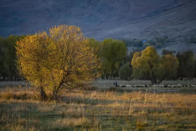 Tunceli'nin şirin ilçesi Ovacık sonbahar renklerine büründü