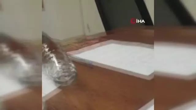 yonetim ofisine giren sincap kamerada 2 14489315 o