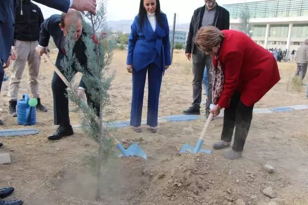 81 İLİN KADIN STK TEMSİLCİLERİ, ŞIRNAK'TA BULUŞTU