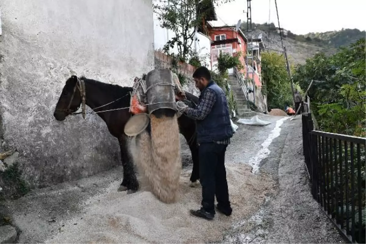 Belediye, dar ve dik sokaklara at ile malzeme taşıyor