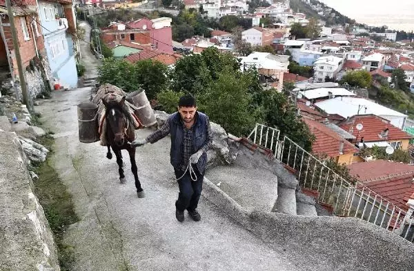 Belediye, dar ve dik sokaklara at ile malzeme taşıyor