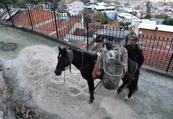 Belediye, dar ve dik sokaklara at ile malzeme taşıyor