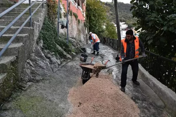 Belediye, dar ve dik sokaklara at ile malzeme taşıyor