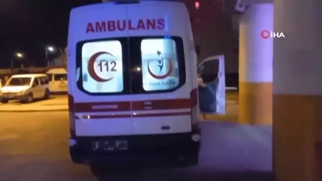 Erzincan'da küçük kızı akrep soktu