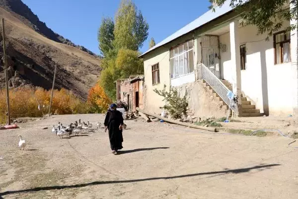 Hakkarili 117 yaşındaki Muteber Engindeniz: Cumhuriyetin ilanında köyde halay çektik