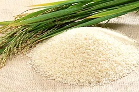 İpsala pirincine AB coğrafi işaret tescil başvurusu yapıldı