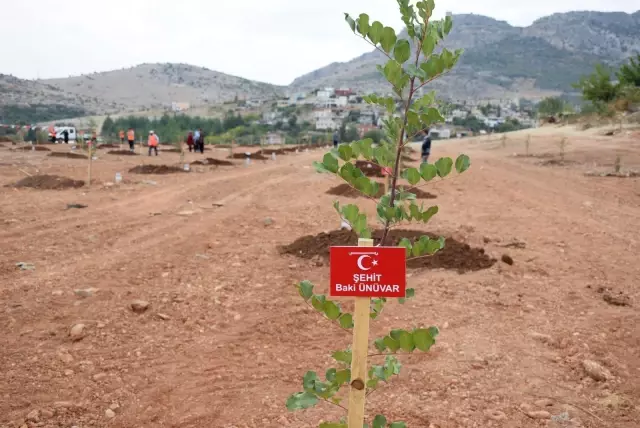 Kozan'da şehitlerin anısına fidan dikildi