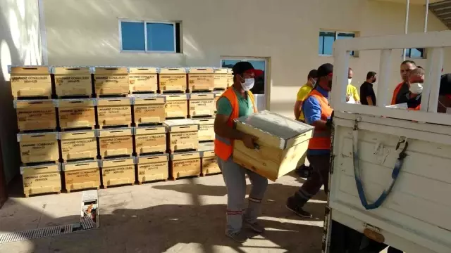 Yangınzede arıcılara 360 kovan desteği