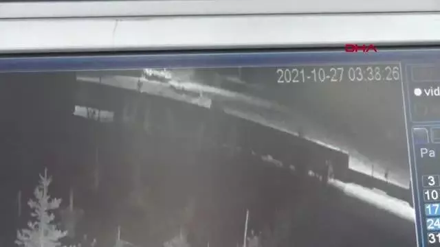 YOZGAT'TA AĞILA KURT SALDIRDI; KOYUNLARDAN 13'Ü ÖLDÜ, 24'Ü YARALANDI