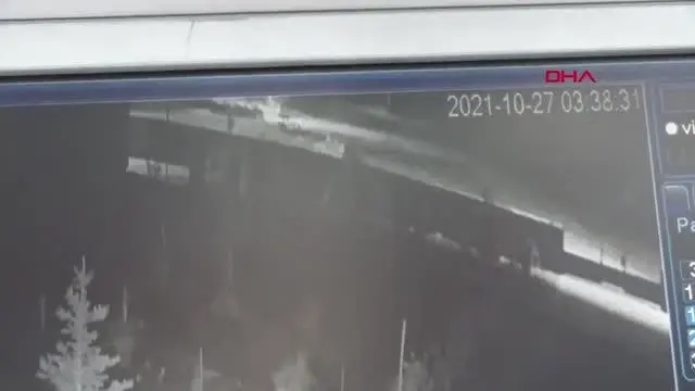 YOZGAT'TA AĞILA KURT SALDIRDI; KOYUNLARDAN 13'Ü ÖLDÜ, 24'Ü YARALANDI