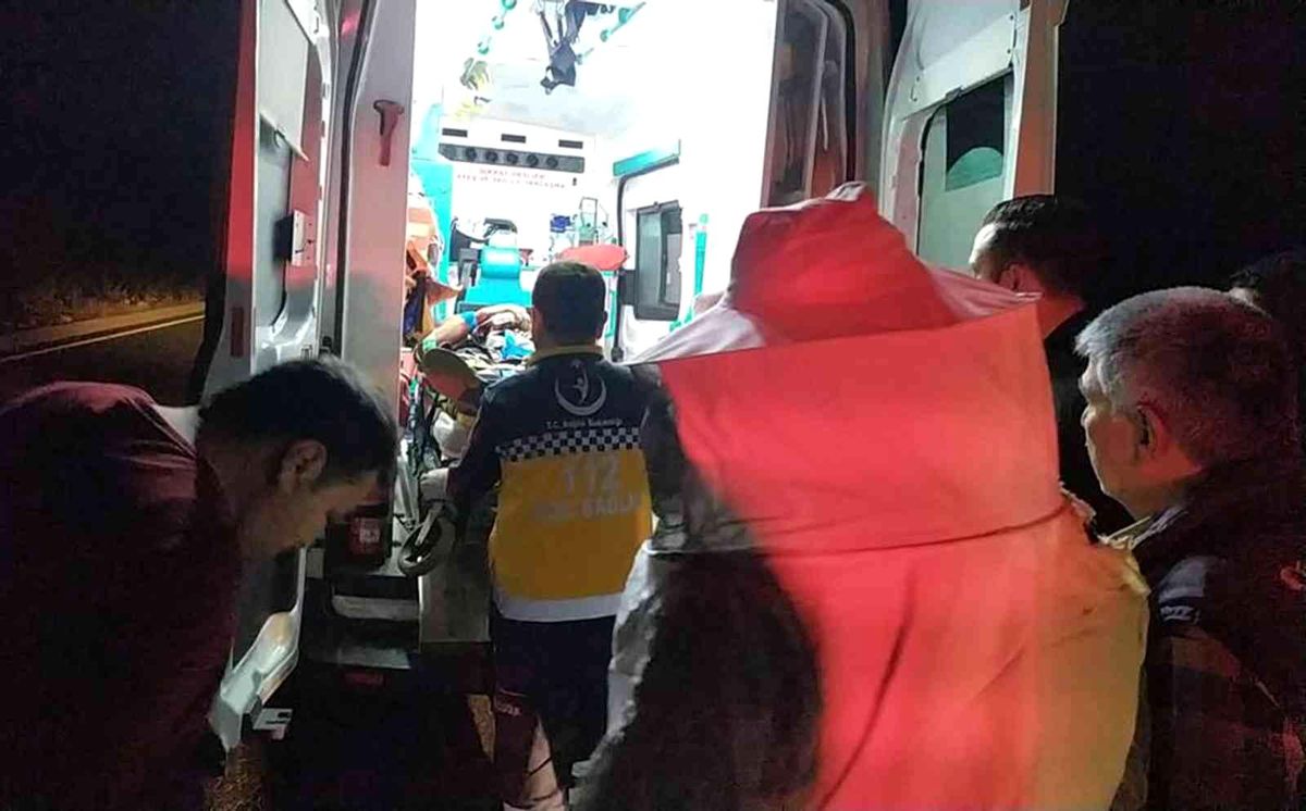 Arı kovanı taşıyan kamyonet devrildi: 2 yaralı