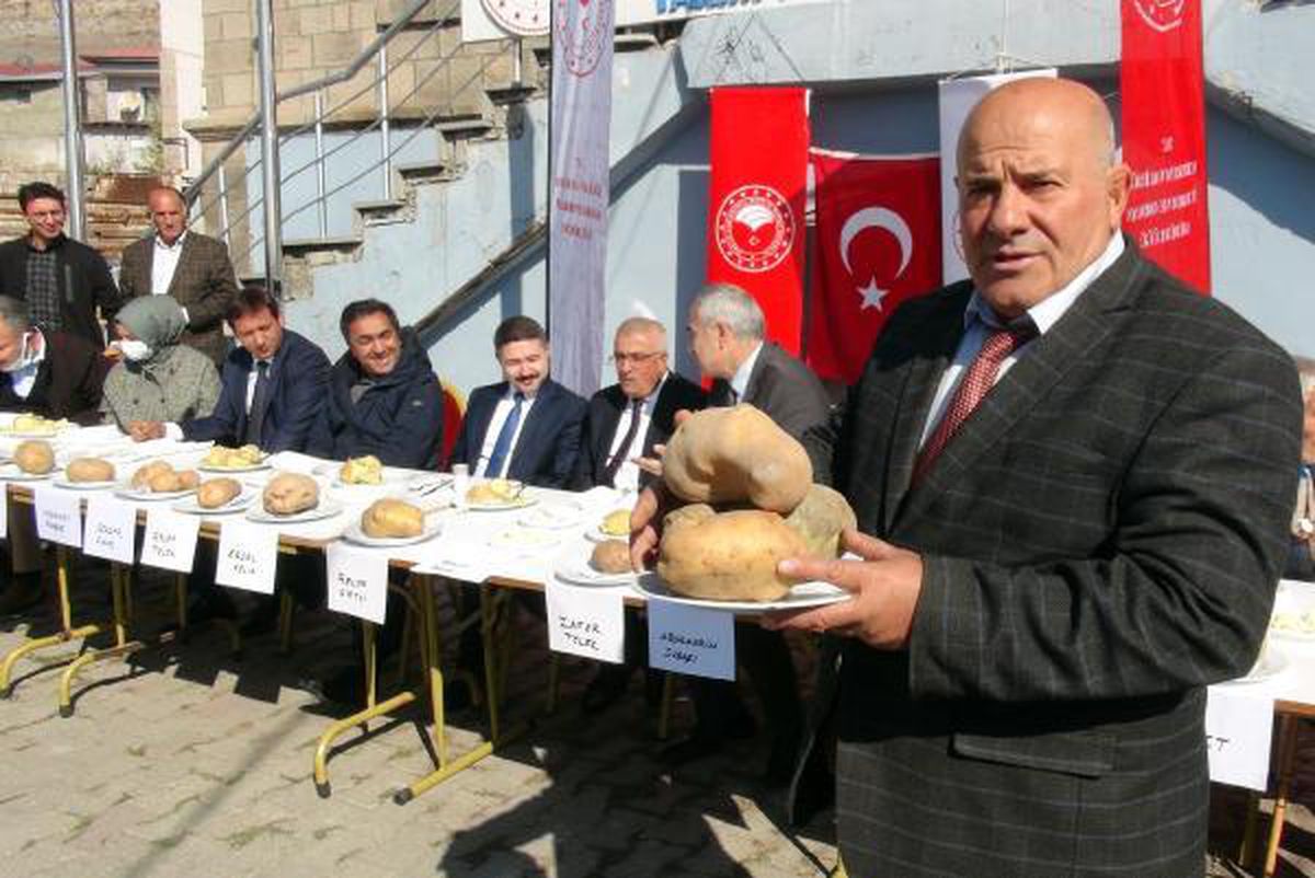 BU DA 'EN GÜZEL PATATES' YARIŞMASI