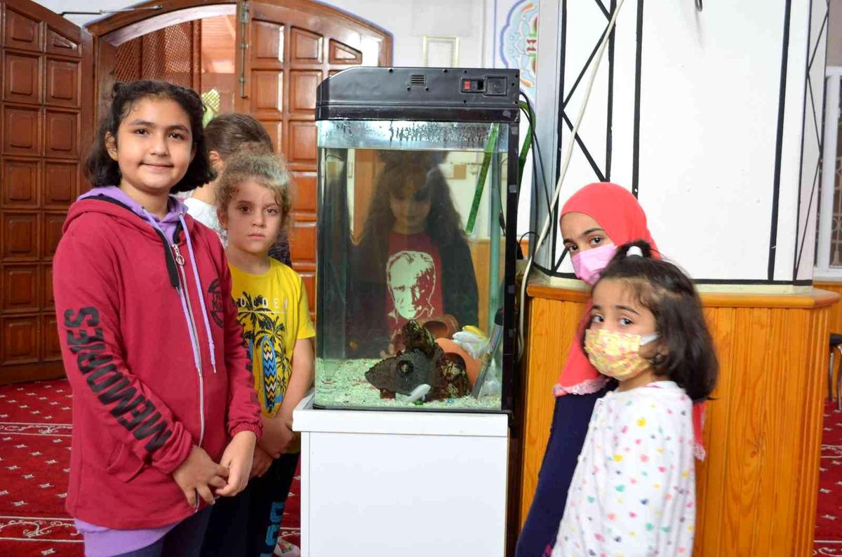 İmam, çocuklar için camiye akvaryum yaptırdı