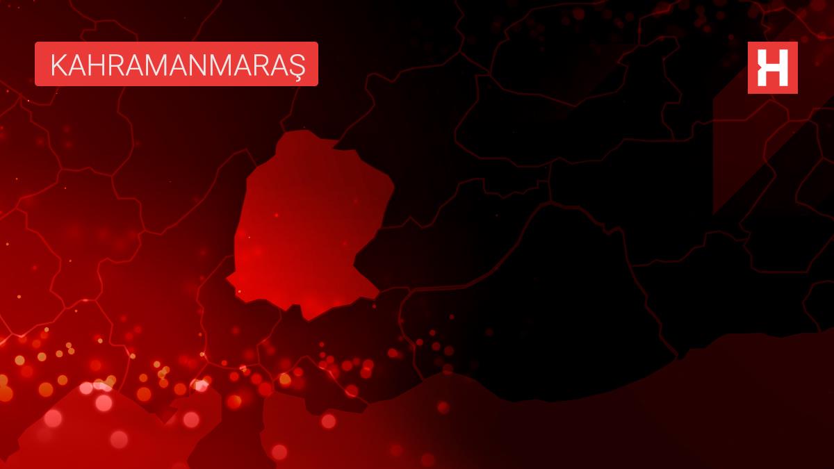 Kahramanmaraş'ta devrilen otomobilin sürücüsü yaralandı