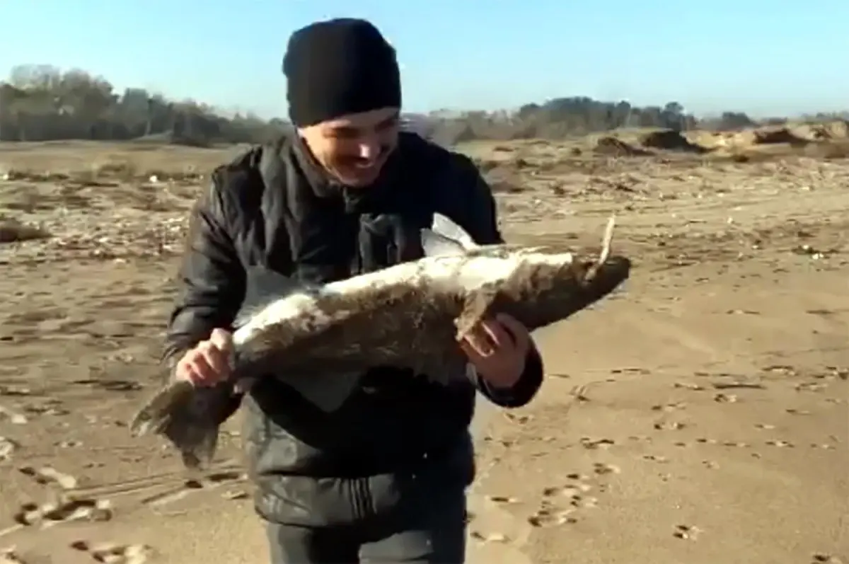 Amatör balıkçının en mutlu günü! Oltasına gelen balıkla havalara uçtu