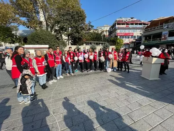 Üsküdar'da Kızılay Haftası kutlamaları