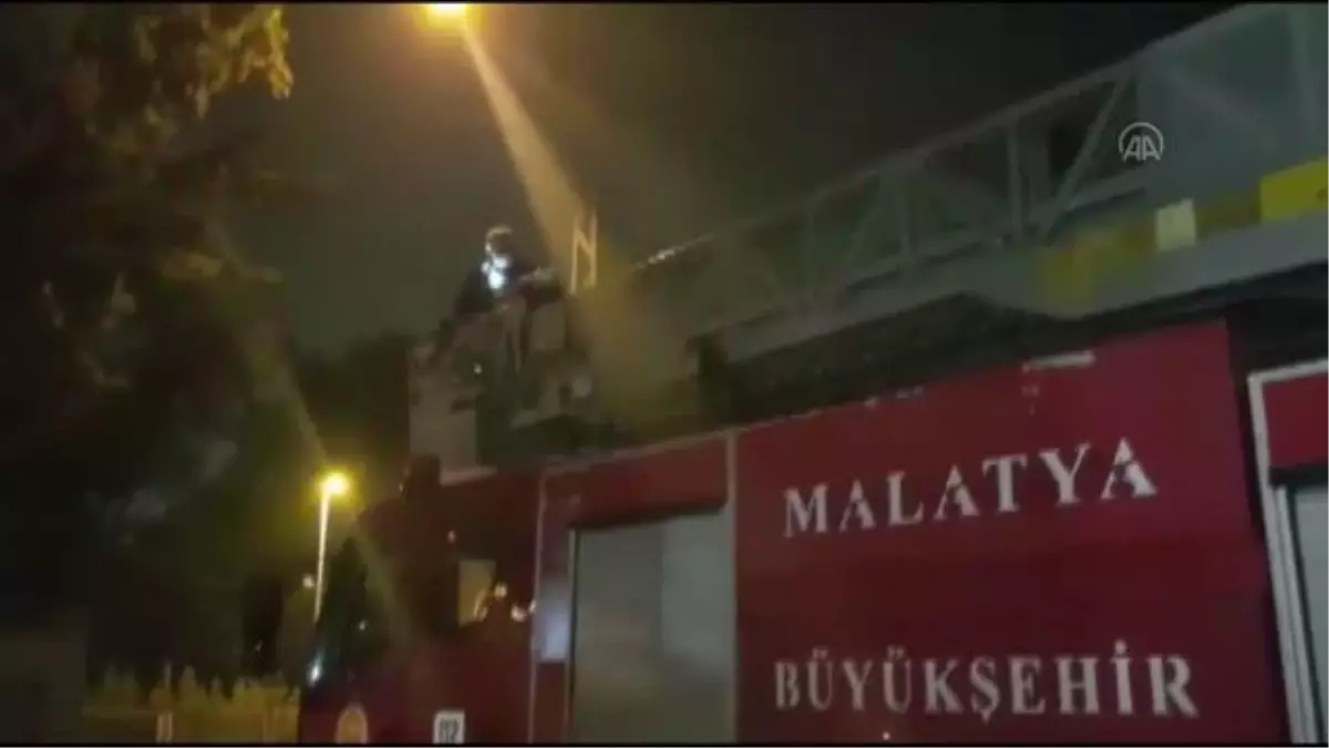 Son dakika: Ağaçta mahsur kalan kediyi itfaiye kurtardı