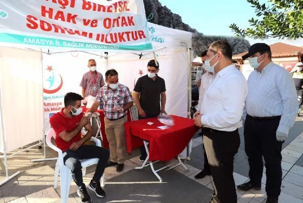 Aşılamada Türkiye ikincisi Amasya'da maksat birincilik