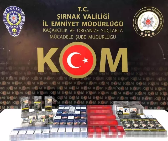 Son dakika haberi | Şırnak'ta asayiş ve kaçakçılık operasyonu: 66 gözaltı