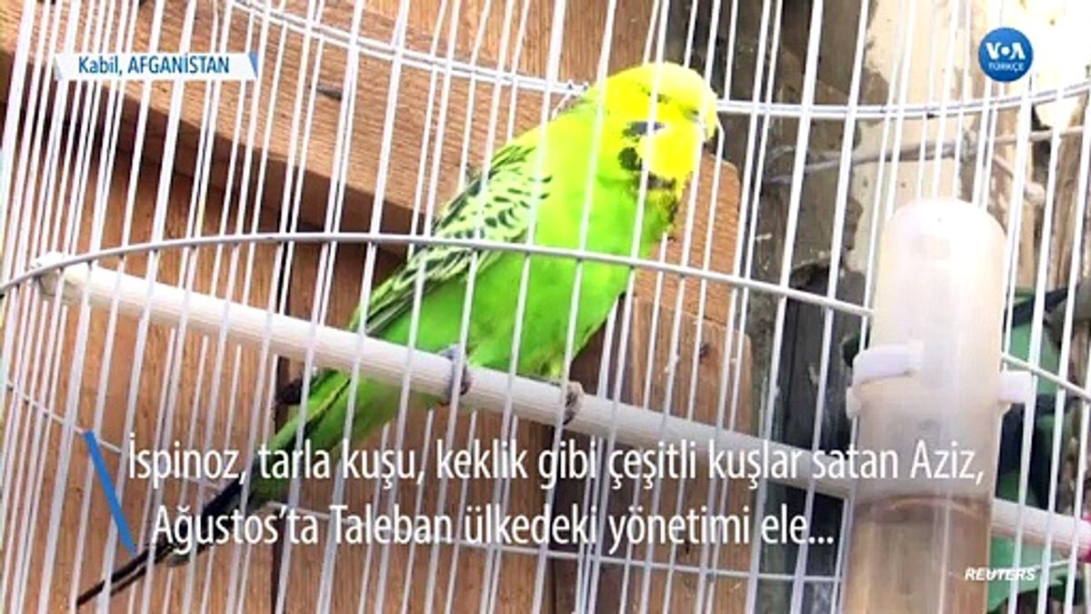 Afganistan'daki Esnaf Ekonomik Krizden Rahatsız