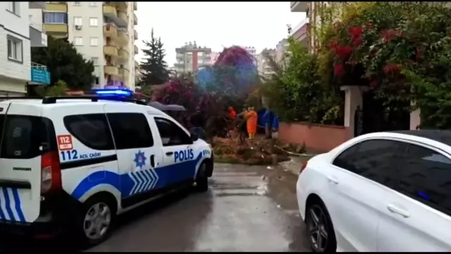 Şiddetli rüzgar ağaçları devirdi, park halindeki 2 araç hasar gördü